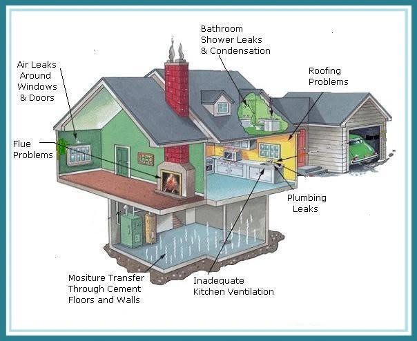 Home moisture and mold problem diagram
